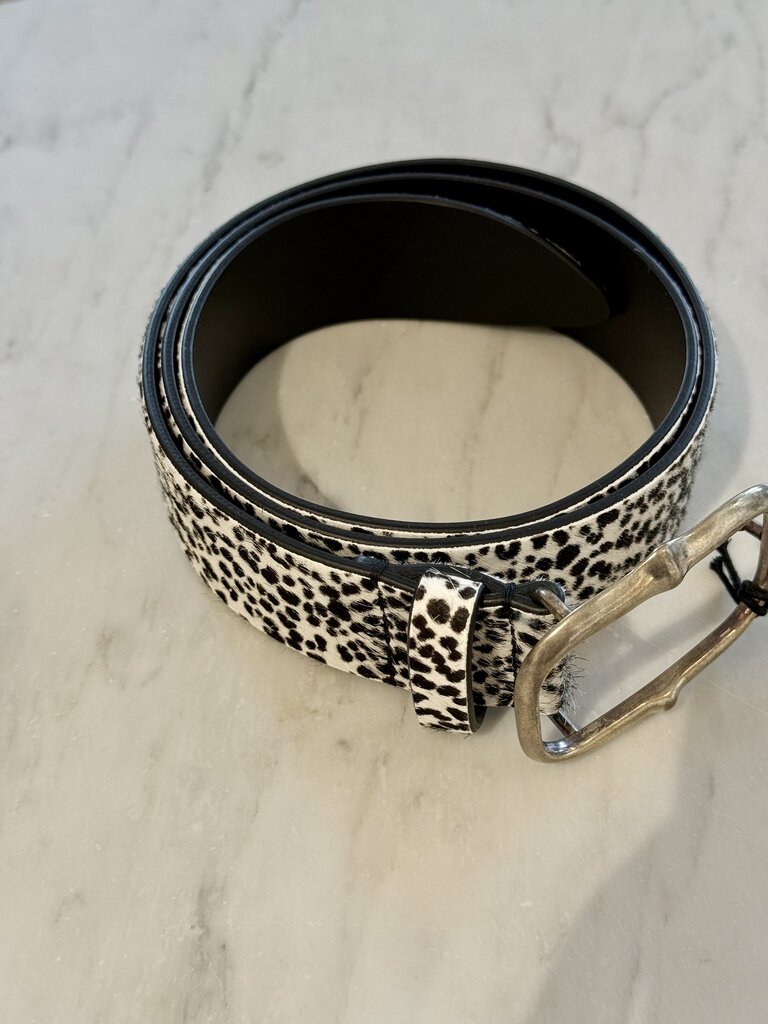 Hairy dots belt