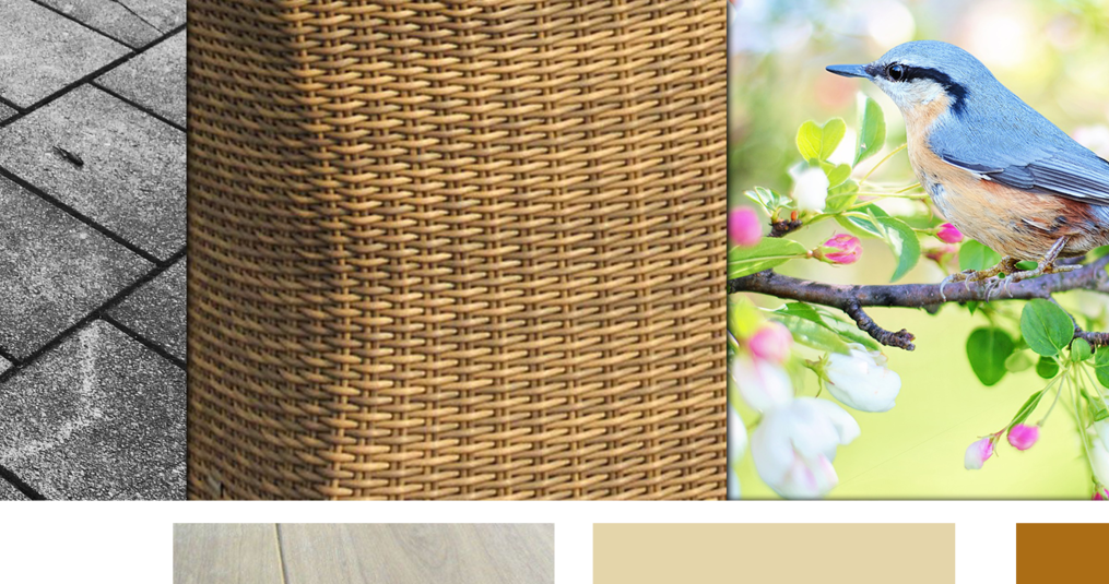 De nieuwste tuintrends van 2019: 6 ideeën voor een trendy inrichting van je tuin