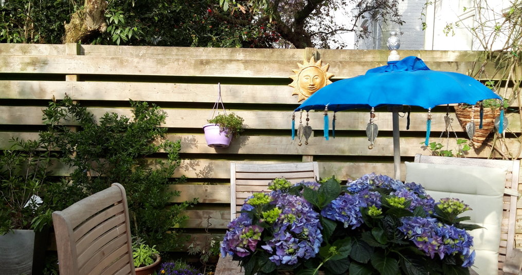 Kun je ook goedkope teak tuinmeubelen krijgen?