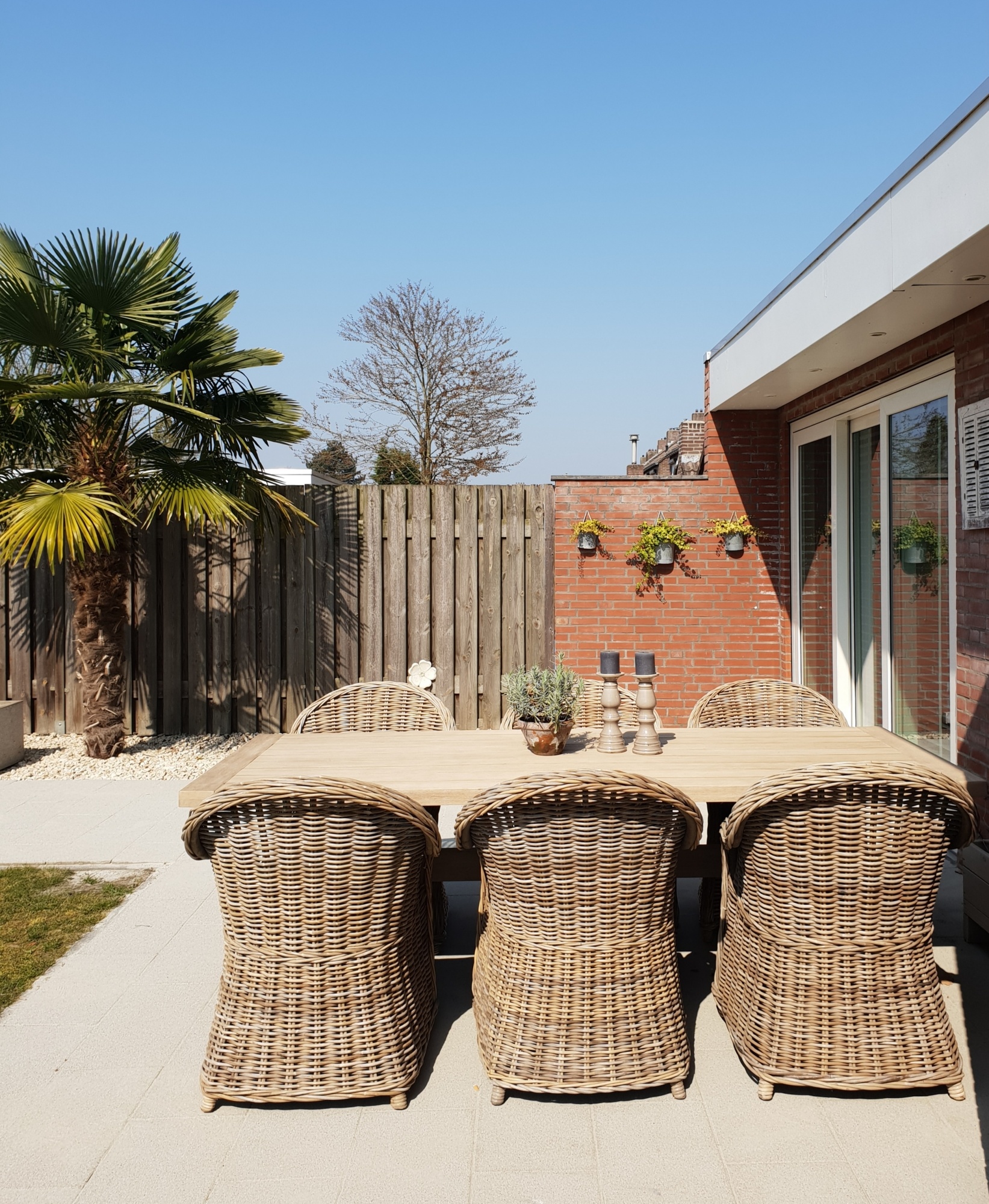 Hoe kun je het beste jouw gazon onderhouden? Enkele handige tips!