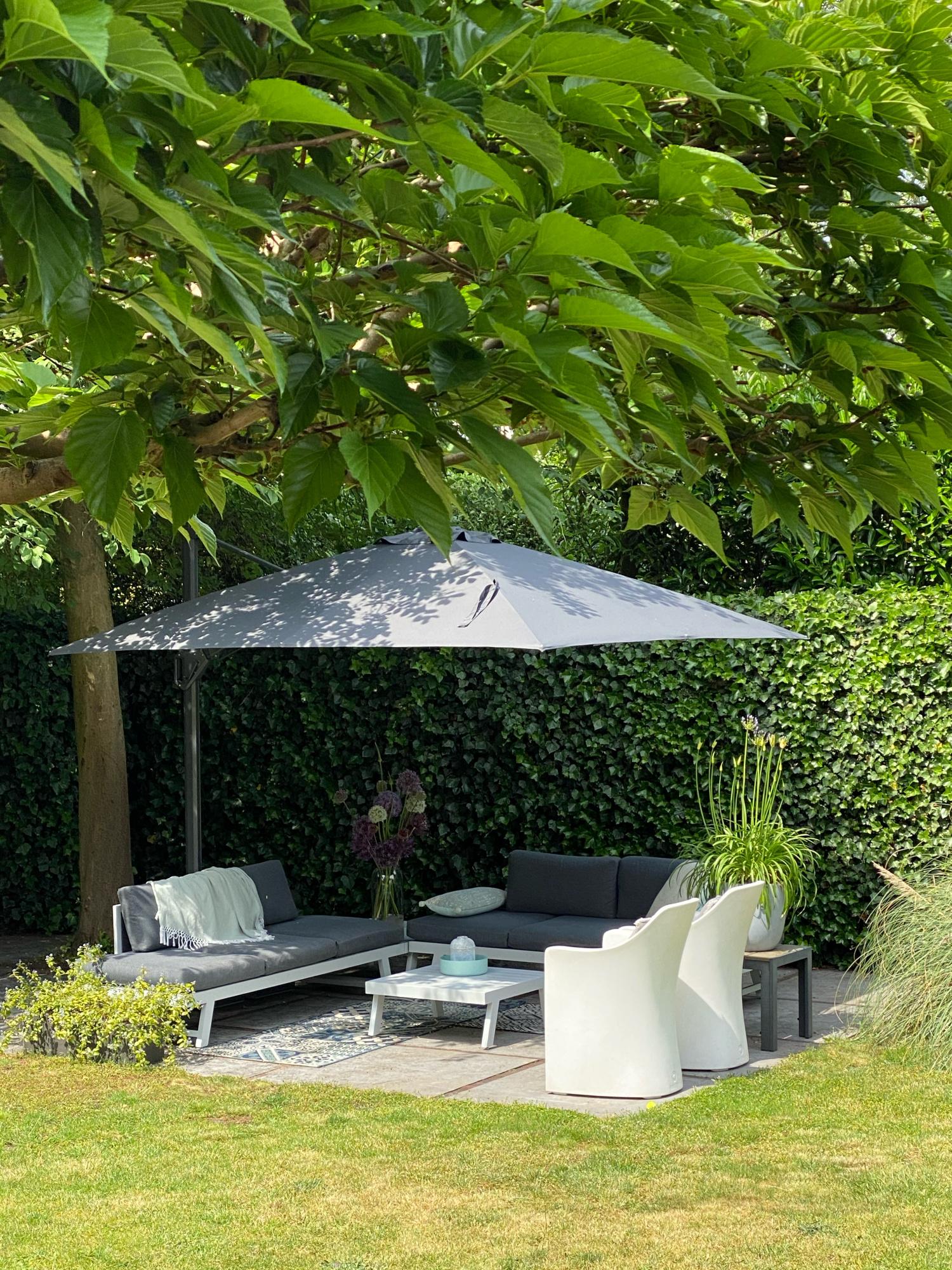 Hoe kun je de beste boom voor in jouw tuin vinden? Hoe kun je de beste boom voor in jouw tuin vinden?