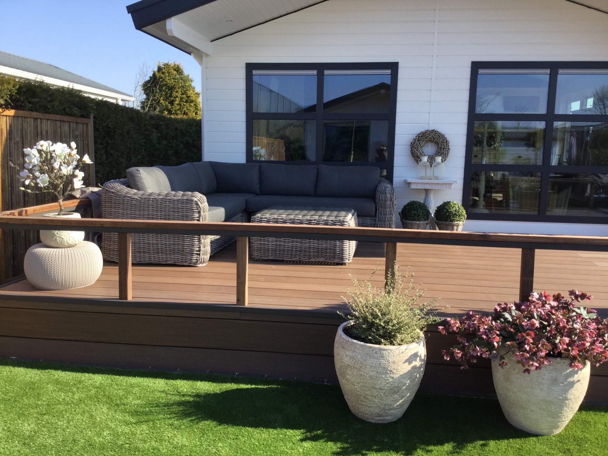 Wat zijn de voor- en nadelen van planten en struiken voor in jouw tuin?