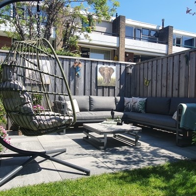 De appelboom in eigen tuin De appelboom in eigen tuin