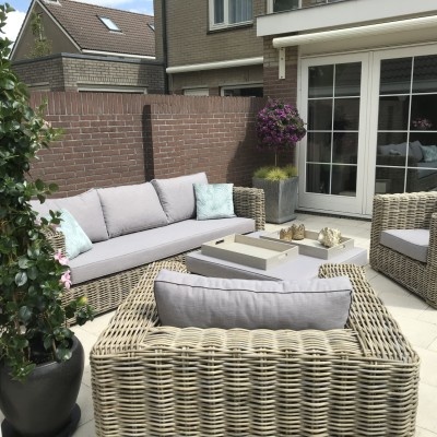 Een zonnige zonnebloem! Een zonnige zonnebloem!