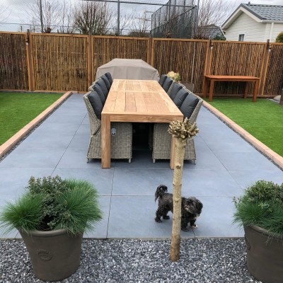 Alles over de magnolia Alles over de magnolia