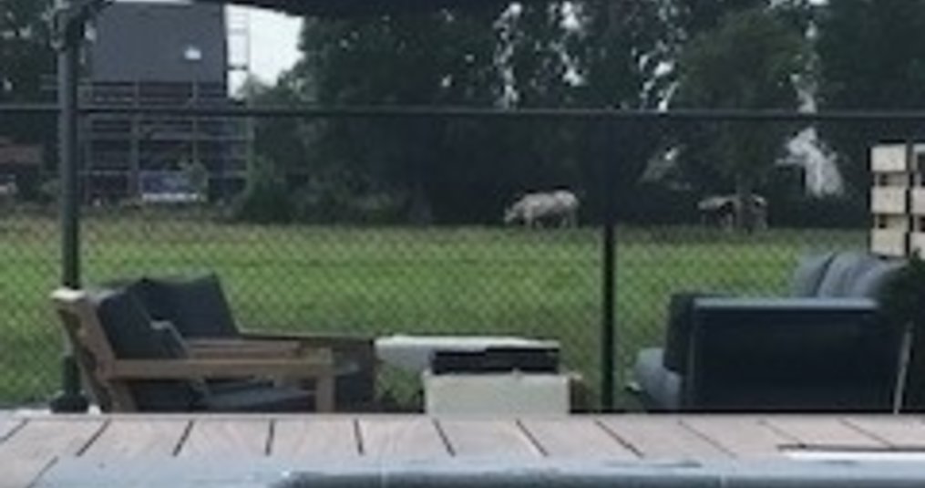Hoe vind je de beste loungebank voor in jouw tuin?