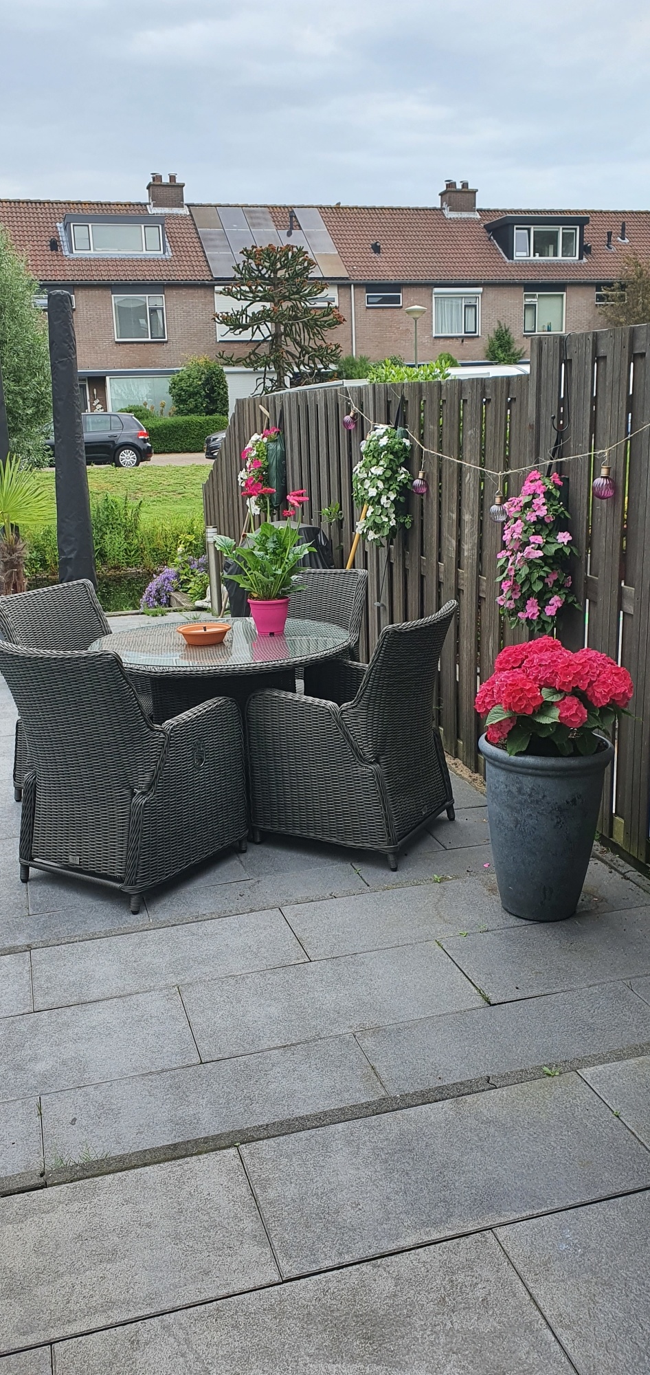 De wereld van de droogbloemen