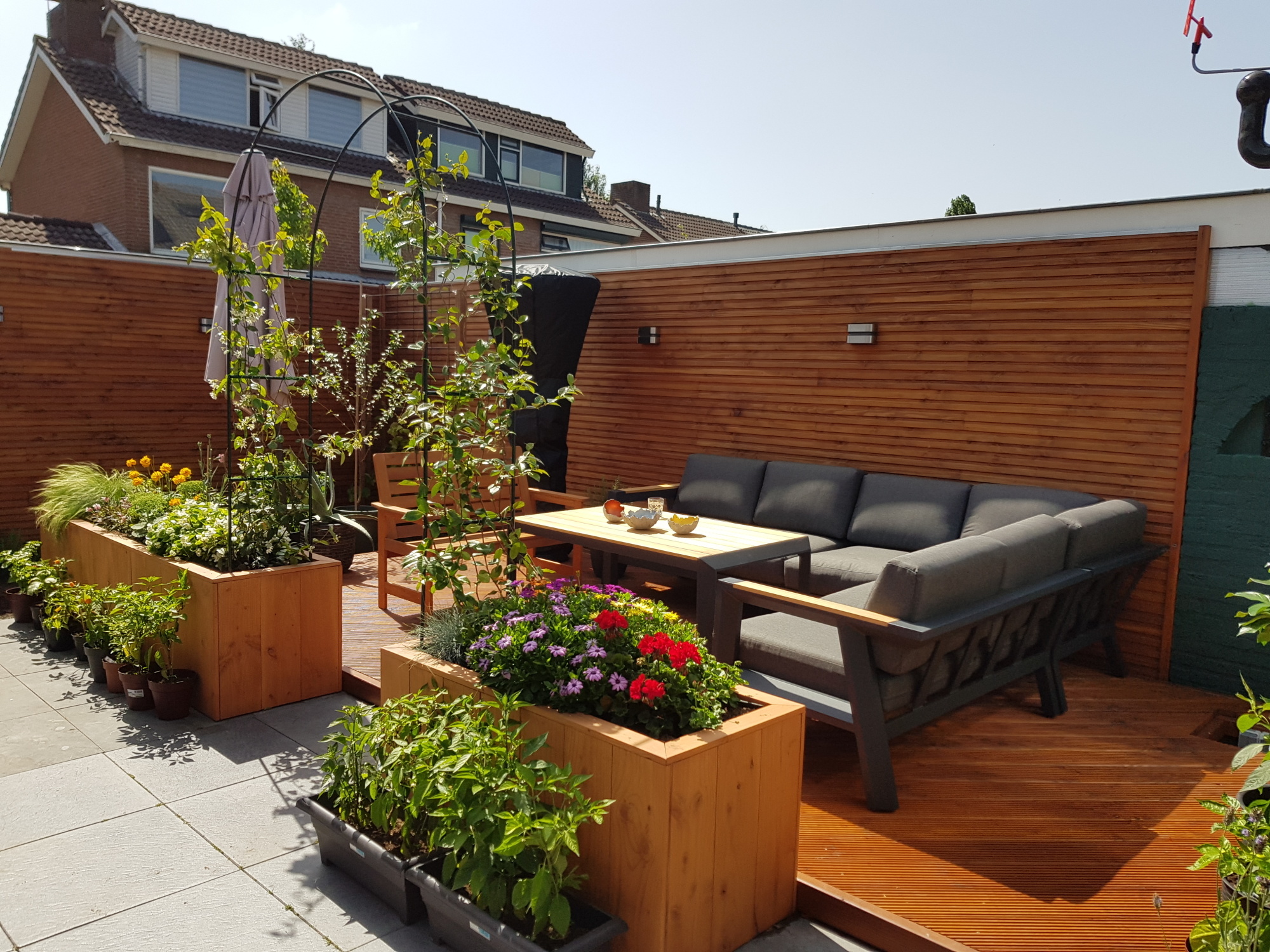 De meest makkelijke eetbare planten uit je eigen achtertuin De meest makkelijke eetbare planten uit je eigen achtertuin