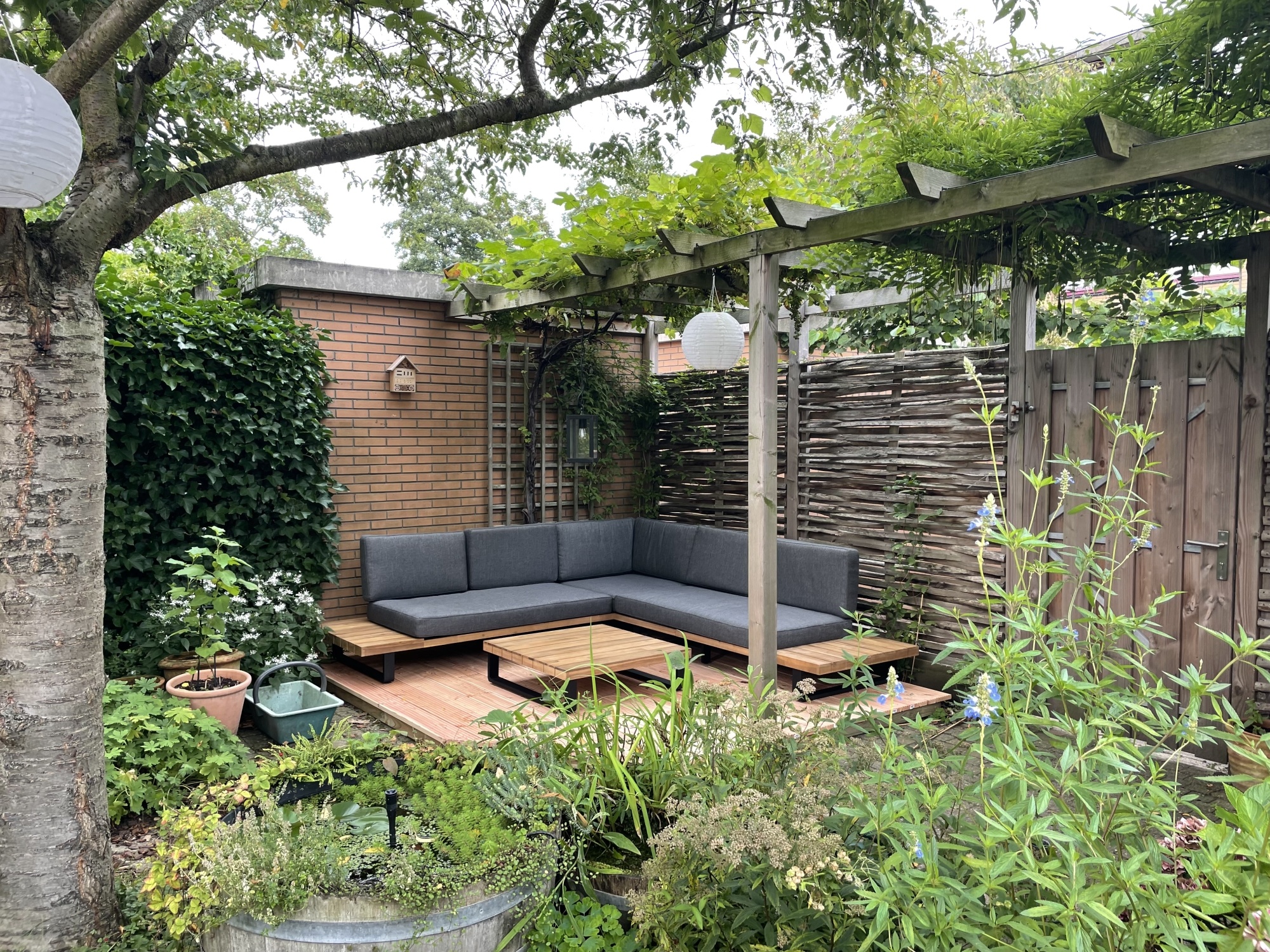 De lekkerste kruiden vers uit de tuin De lekkerste kruiden vers uit de tuin