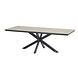 4 Seasons Outdoor Minerva dining tuintafel met Hpl houtlook blad 220x95xH75 cm 4 Seasons Outdoor 4 Seasons Outdoor Minerva dining tuintafel met Hpl houtlook blad 220x95xH75 cm 4 Seasons Outdoor