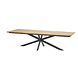 4 Seasons Outdoor Fabrice Minerva Robusto dining tuinset 280x95xH75 cm 9 delig 4 Seasons Outdoor 4 Seasons Outdoor Fabrice Minerva Robusto dining tuinset 280x95xH75 cm 9 delig 4 Seasons Outdoor