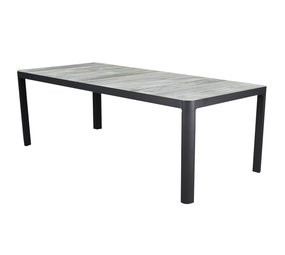 AVH-Collectie New Delhi dining tuintafel 220x100xH74 cm antraciet AVH-Collectie New Delhi dining tuintafel 220x100xH74 cm antraciet