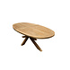 AVH-Collectie Bilbao Ellips dining tuinset 200x110xH76 cm kruispoot 5 delig antraciet verstelbaar AVH-Collectie Bilbao Ellips dining tuinset 200x110xH76 cm kruispoot 5 delig antraciet verstelbaar