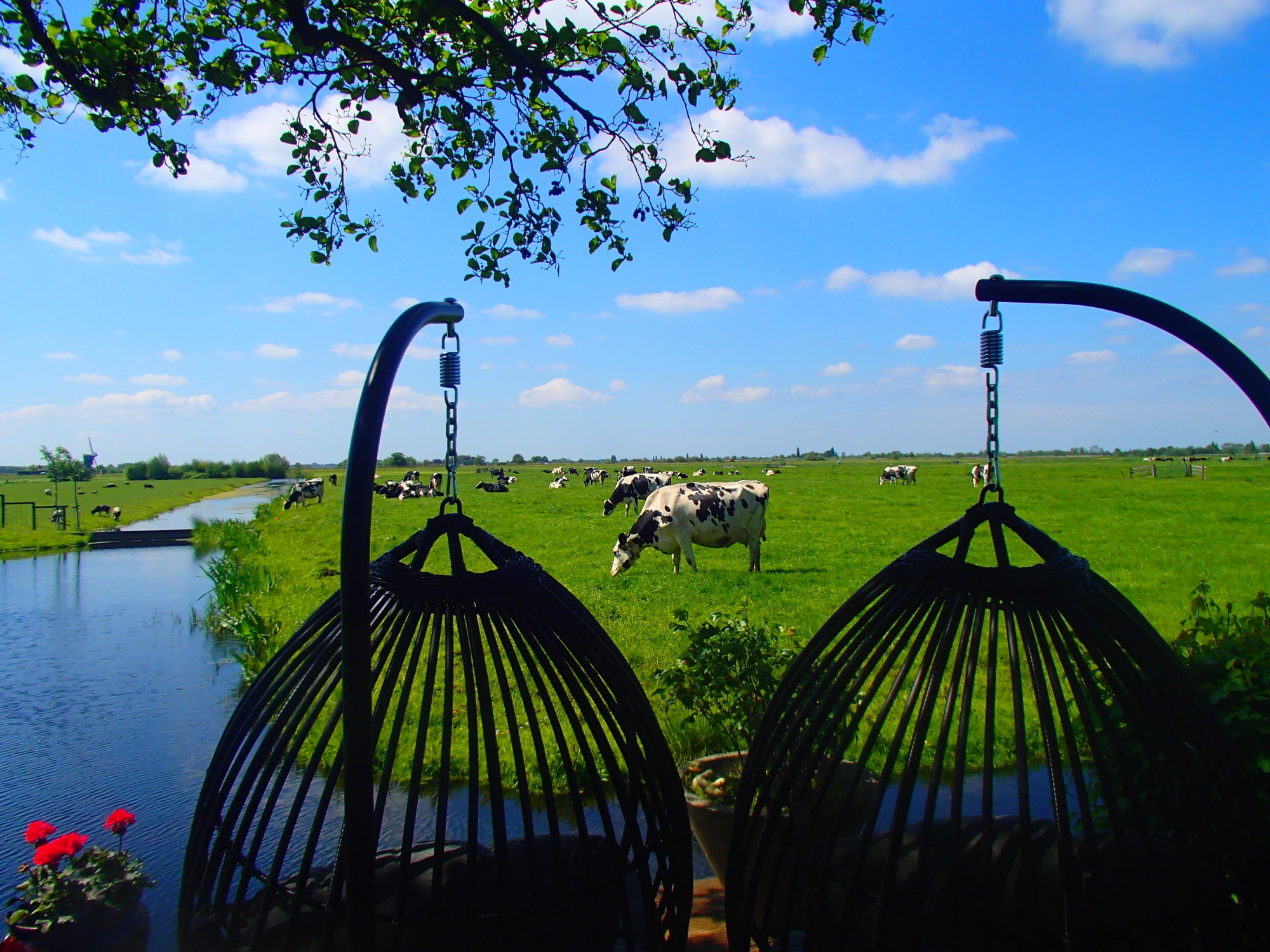 De leukste tuin trends van deze maand De leukste tuin trends van deze maand