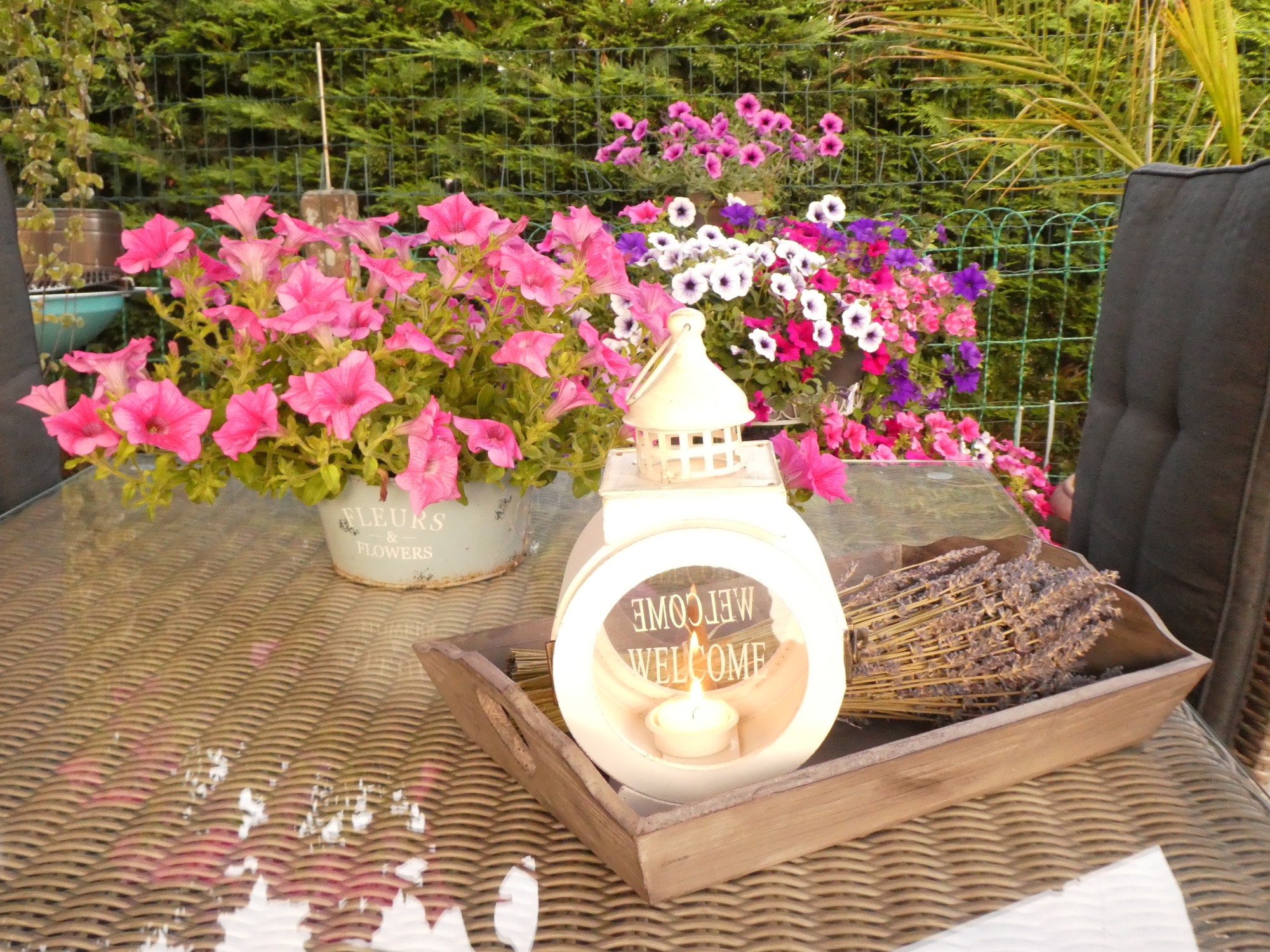 De leukste tuin klusjes voor kinderen De leukste tuin klusjes voor kinderen