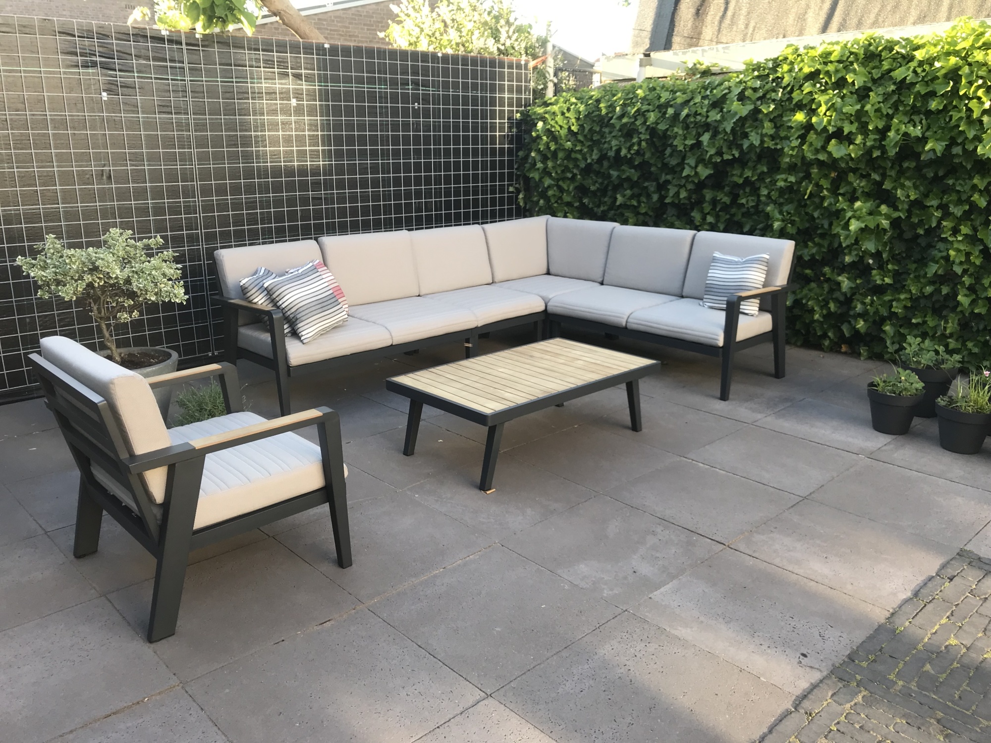 De nieuwste trendkleuren voor je tuin op een rijtje De nieuwste trendkleuren voor je tuin op een rijtje