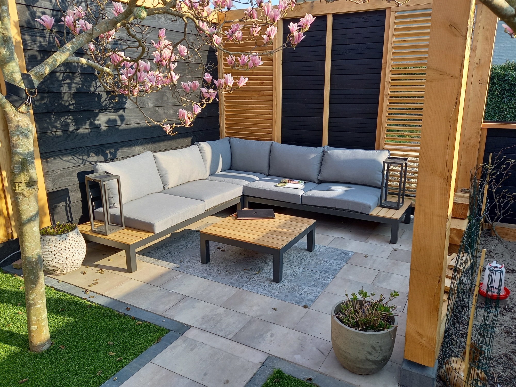 Exotische planten die je niet wil missen in je tuin