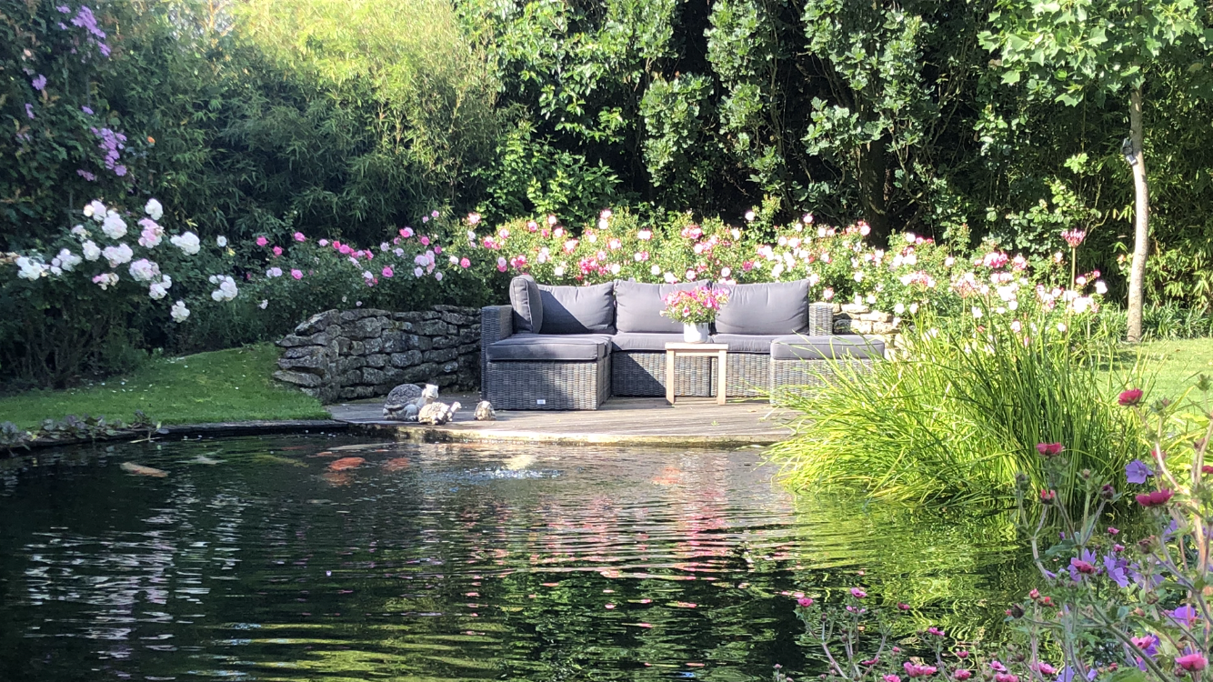 Help mijn planten groeien niet Help mijn planten groeien niet