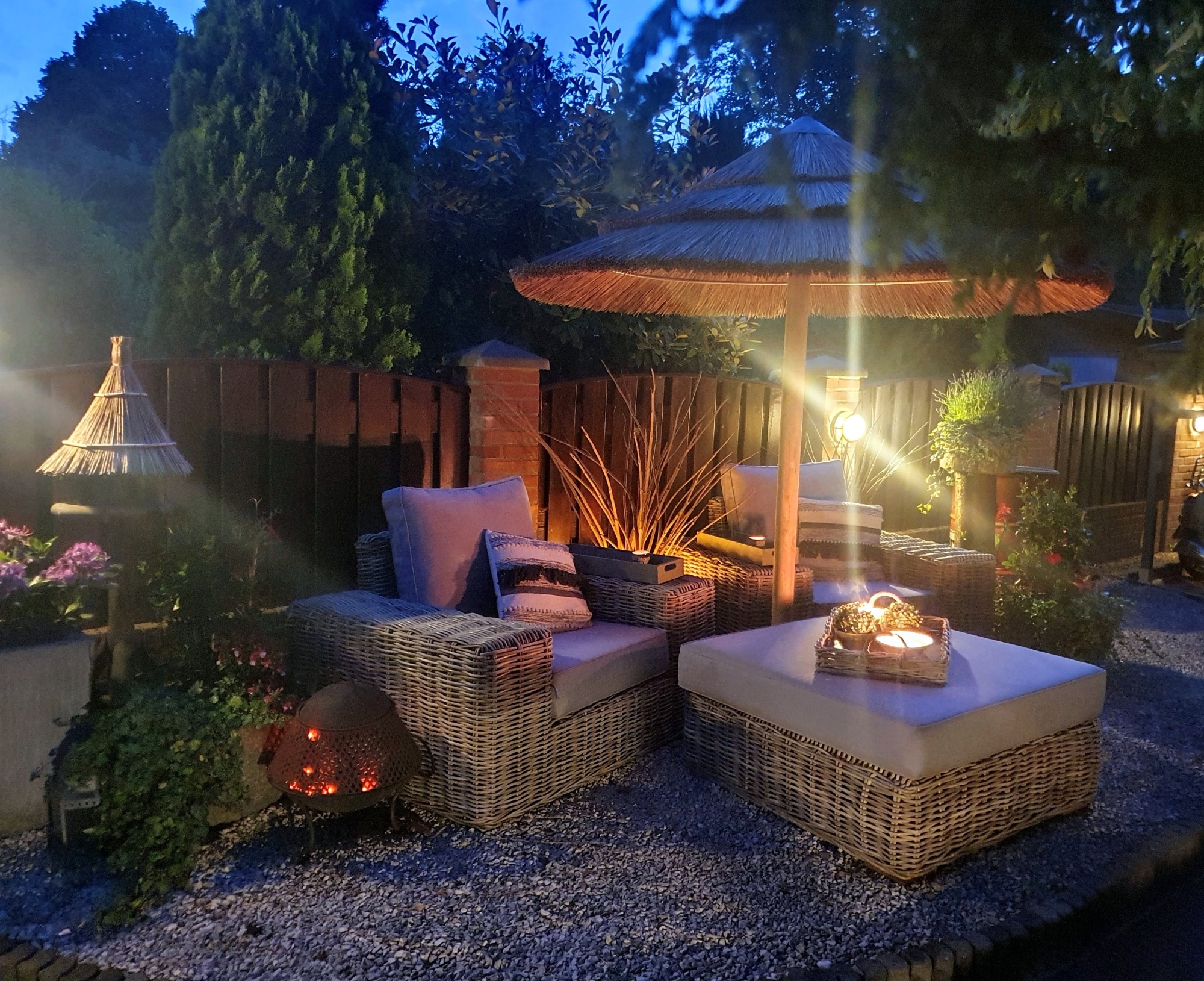 Echte winterbloeiers in de tuin