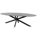 4 Seasons Outdoor Privada Lugano dining tuinset 240x113xH75 ellips 7 delig HPL 4 Seasons Outdoor 4 Seasons Outdoor Privada Lugano dining tuinset 240x113xH75 ellips 7 delig HPL 4 Seasons Outdoor