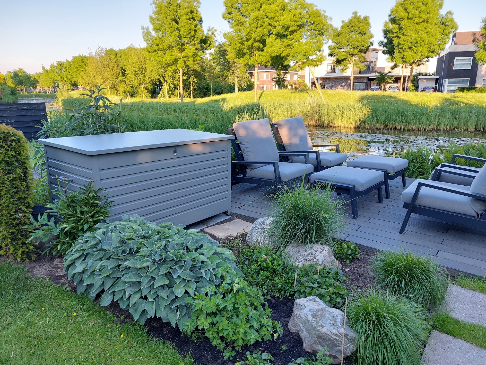 Geef je tuin een exotische touch met deze tropische planten Geef je tuin een exotische touch met deze tropische planten