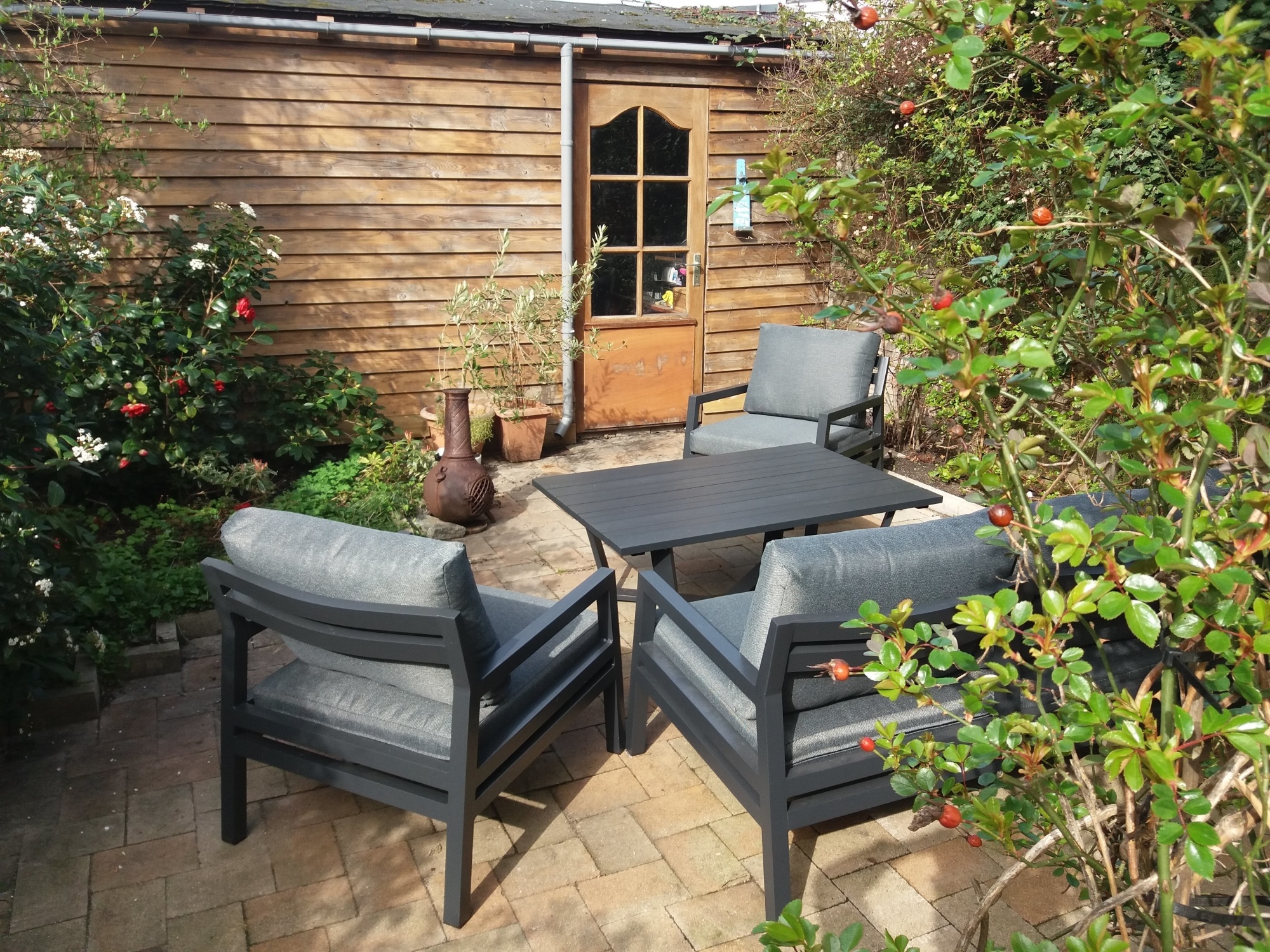 Hoe je met beplanting privacy creëert in je tuin Hoe je met beplanting privacy creëert in je tuin