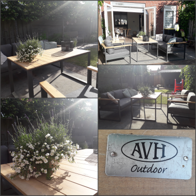 Waar let je op bij de aankoop van bloemen en planten Waar let je op bij de aankoop van bloemen en planten