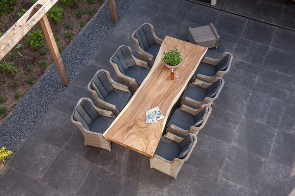 AVH-Collectie Boomstamtafel 300x90xH77,5 cm - bladdikte 10 cm AVH-Collectie Boomstamtafel 300x90xH77,5 cm - bladdikte 10 cm