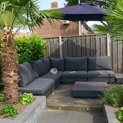 Hoe je alvast voor wat kleur in je tuin kan zorgen Hoe je alvast voor wat kleur in je tuin kan zorgen