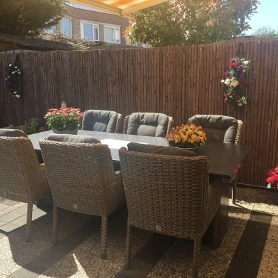 Planten voor huis tuin en keuken gebruik Planten voor huis tuin en keuken gebruik