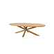 4 Seasons Outdoor Dalias Prado ellips dining tuinset teak 240x115xH75 cm 7 delig teak taupe 4 Seasons Outdoor 4 Seasons Outdoor Dalias Prado ellips dining tuinset teak 240x115xH75 cm 7 delig teak taupe 4 Seasons Outdoor