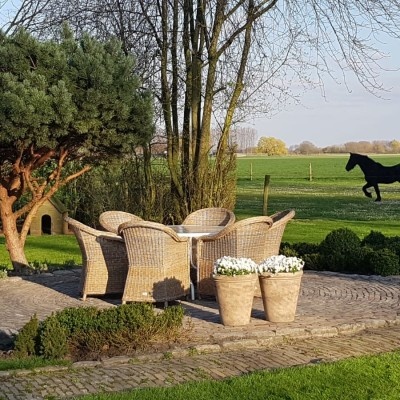 Slimme tips om je tuin groter te doen lijken Slimme tips om je tuin groter te doen lijken