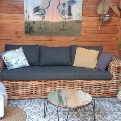 Het Geheim van Wintergroenten: Hoe je een Kersttuin kunt Kweken Het Geheim van Wintergroenten: Hoe je een Kersttuin kunt Kweken