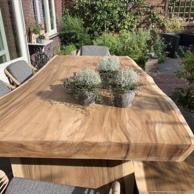 Het aantrekken van vogels en vlinders naar je tuin