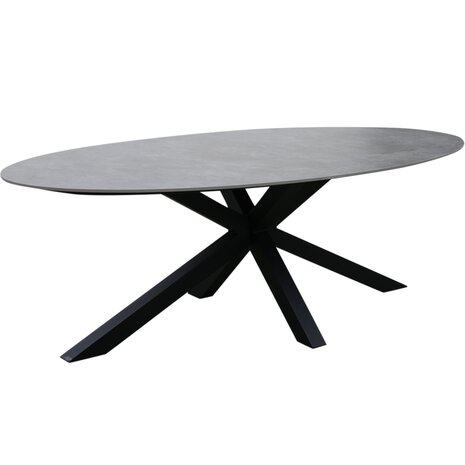 AVH-Collectie Puccini dining tuintafel 220x120 cm ovaal keramisch blad AVH-Collectie Puccini dining tuintafel 220x120 cm ovaal keramisch blad