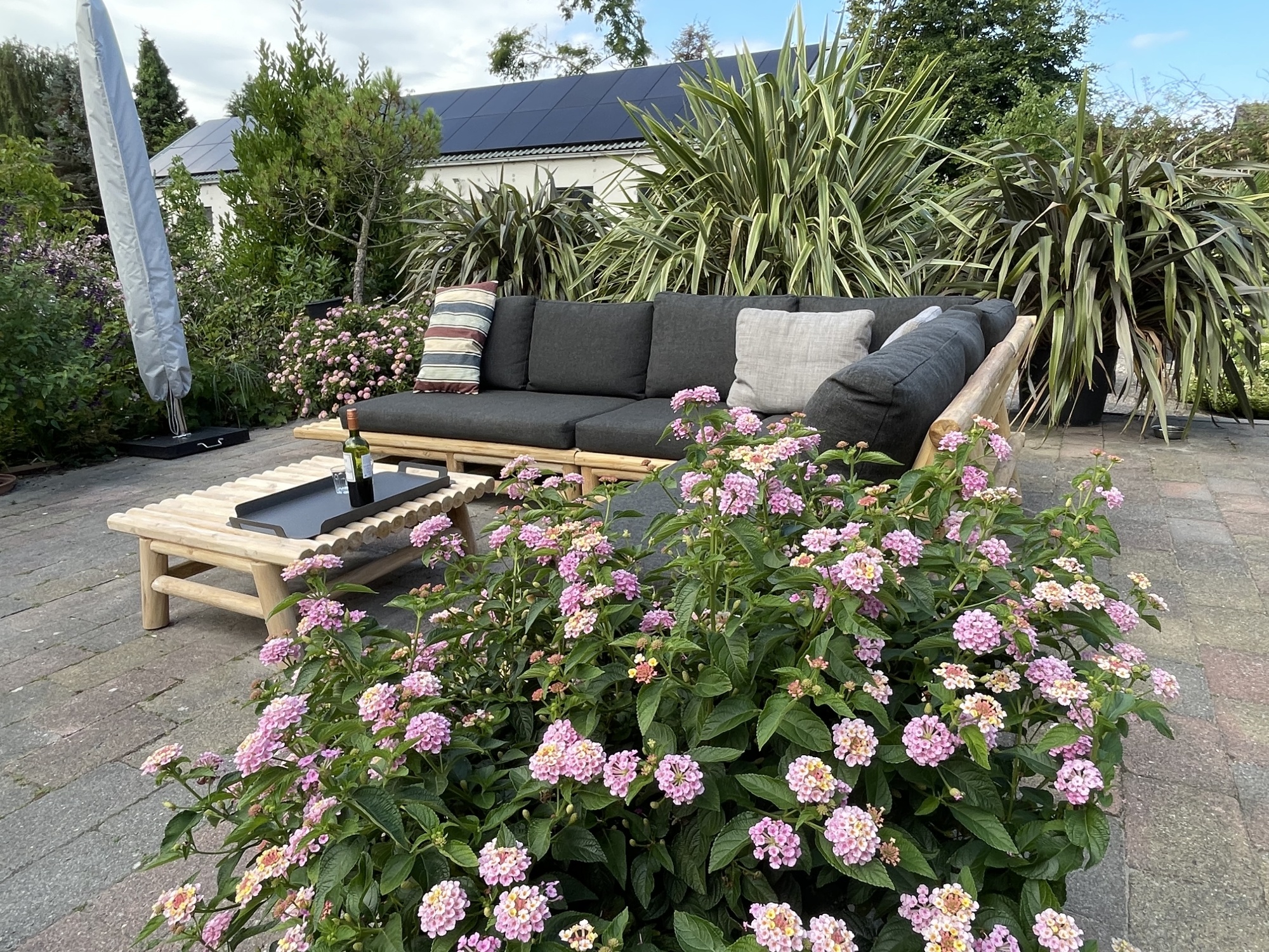 De beste tips voor een kleurrijke tuin in vier seizoenen De beste tips voor een kleurrijke tuin in vier seizoenen