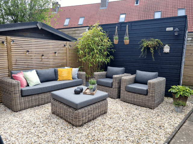 De beste tips voor het kweken en onderhouden van bodembedekkers