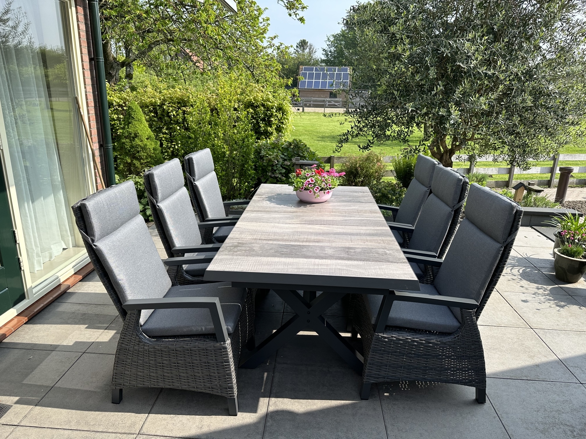 De complete blog voor het onderhoud van rozenstruiken in je tuin De complete blog voor het onderhoud van rozenstruiken in je tuin