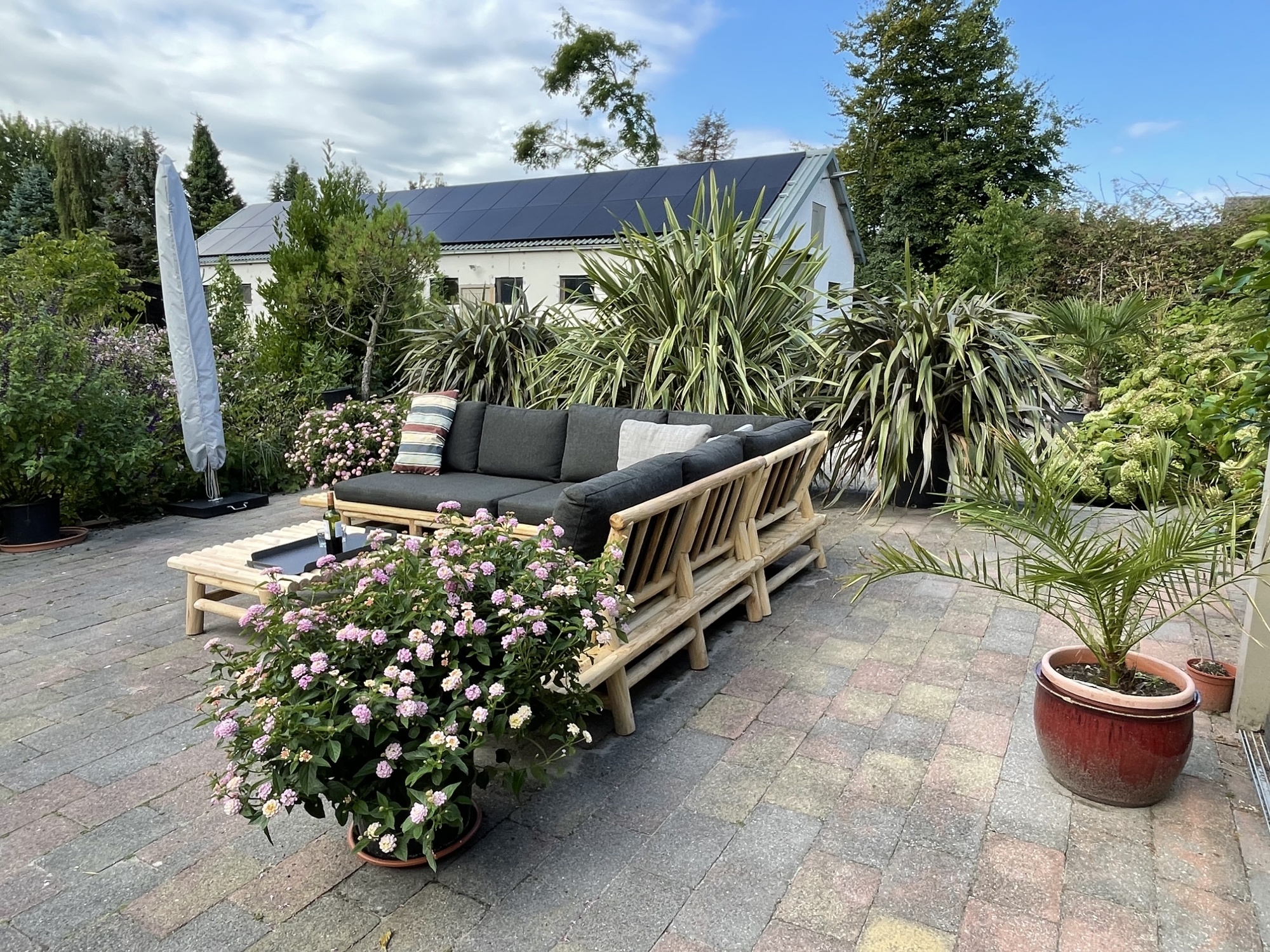 De beste winterharde planten voor in een winterse tuin De beste winterharde planten voor in een winterse tuin