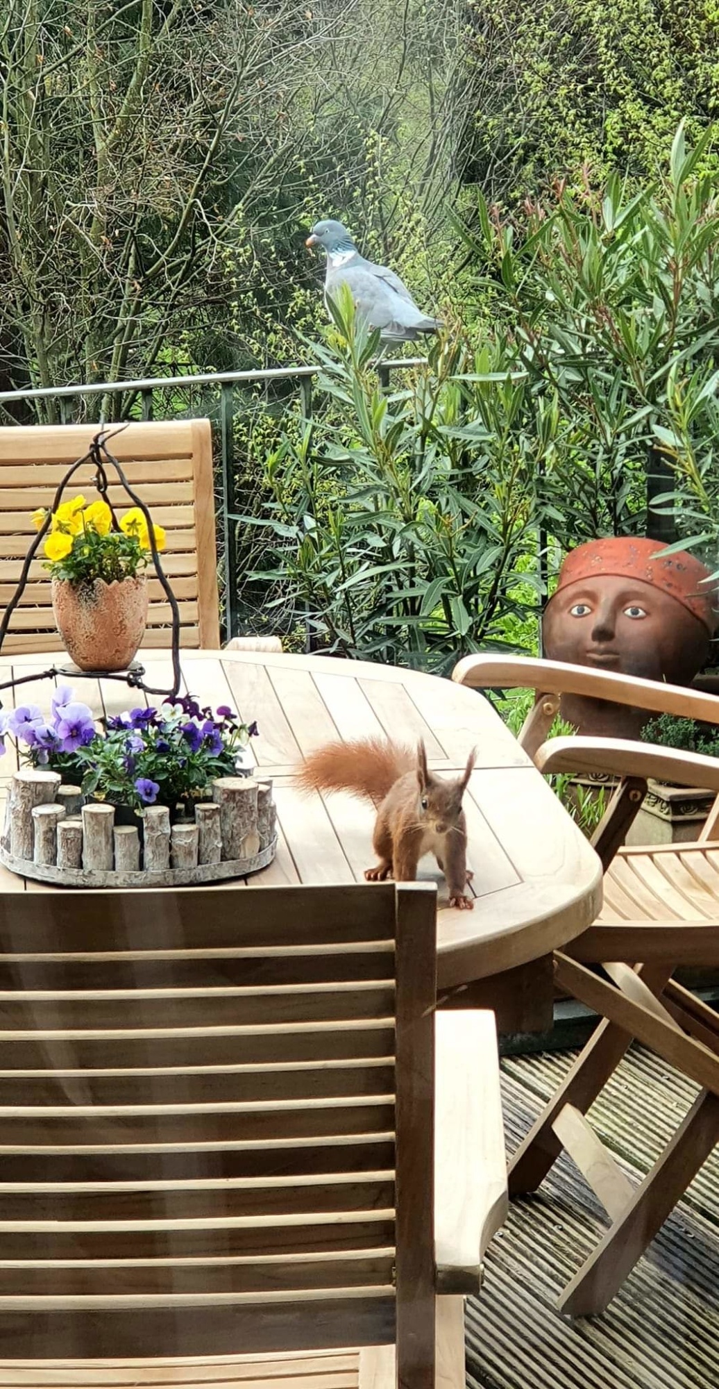 Kleurrijke Herfstbloeiers voor een Prachtige Tuin Deel 2