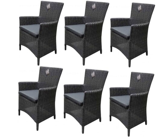 AVH-Collectie Capri dining tuinstoel antraciet set van 6 AVH-Collectie Capri dining tuinstoel antraciet set van 6