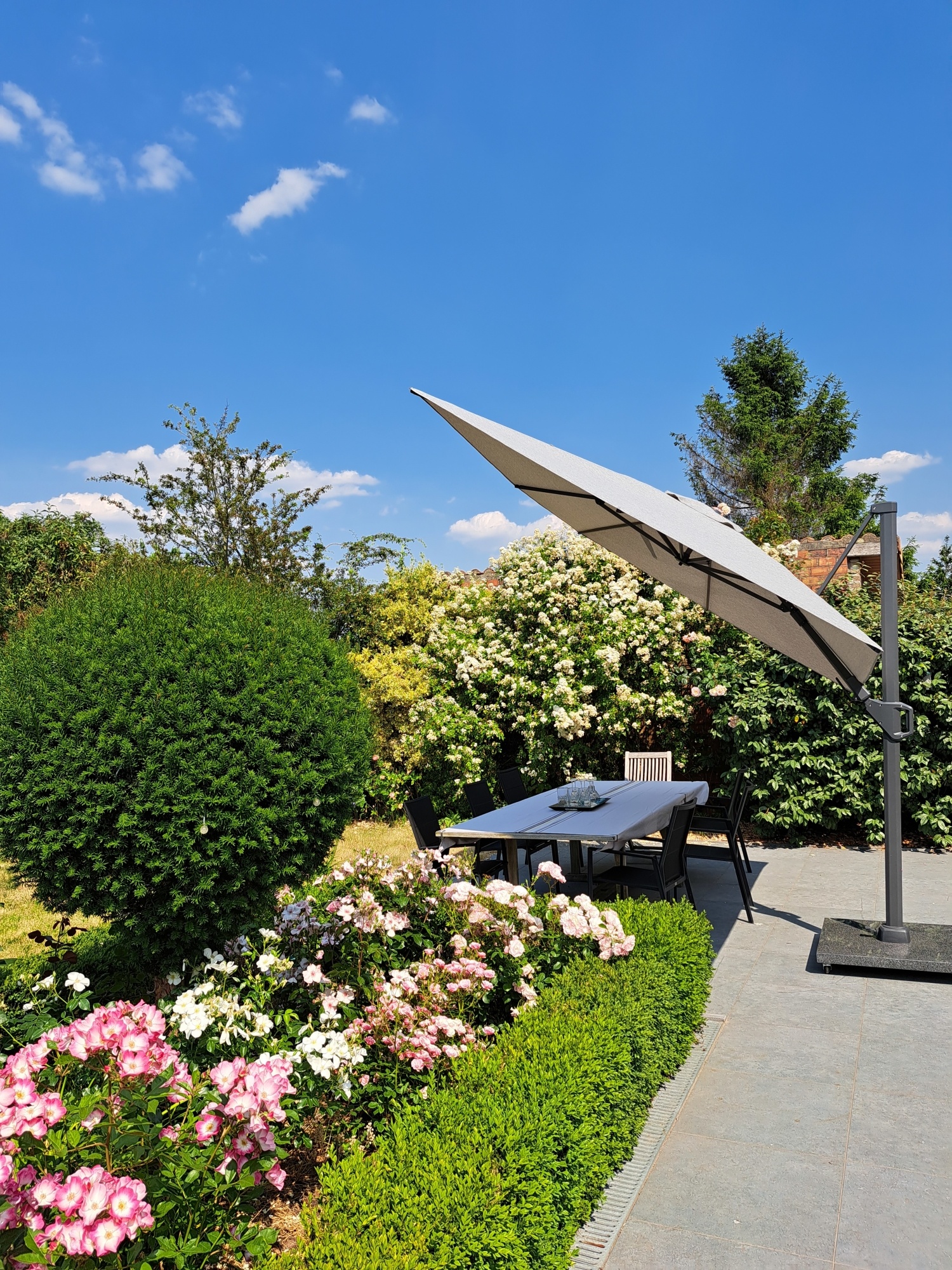 Een tuin met een open uitstraling