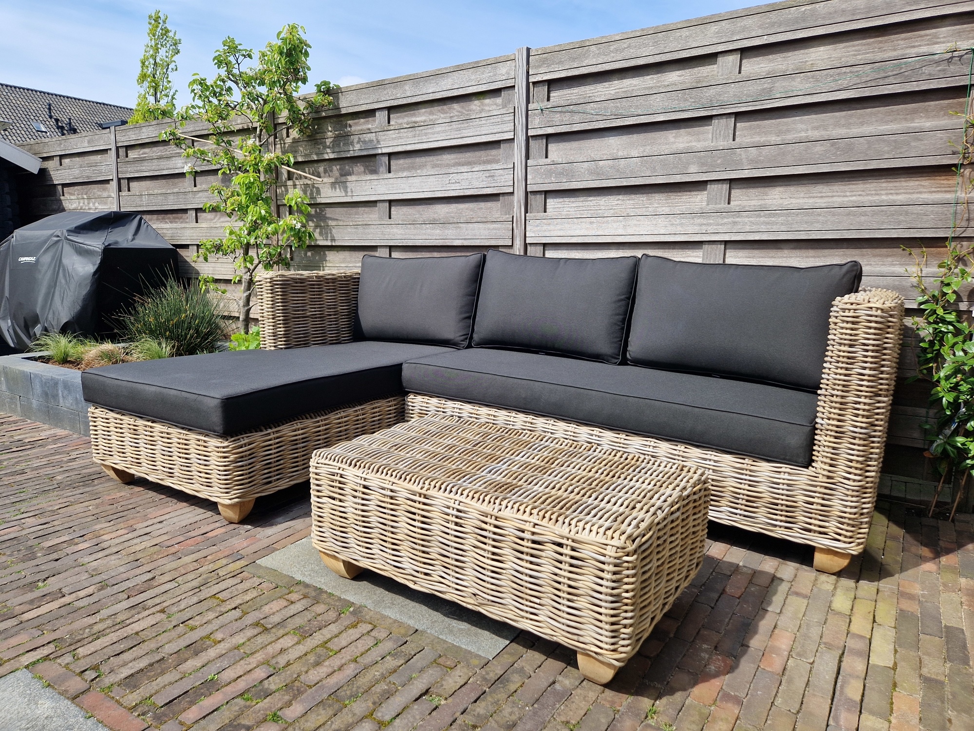 De beste tips voor koelte in de tuin op natuurlijke wijze