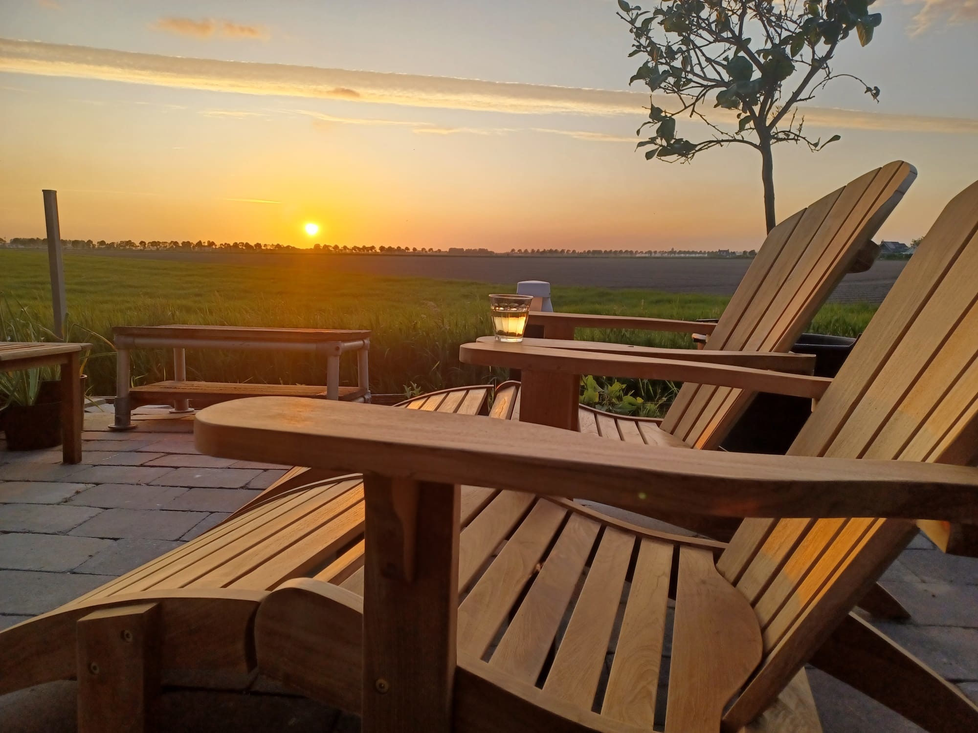 De beste keuzes voor de inrichting van een luxe tuin