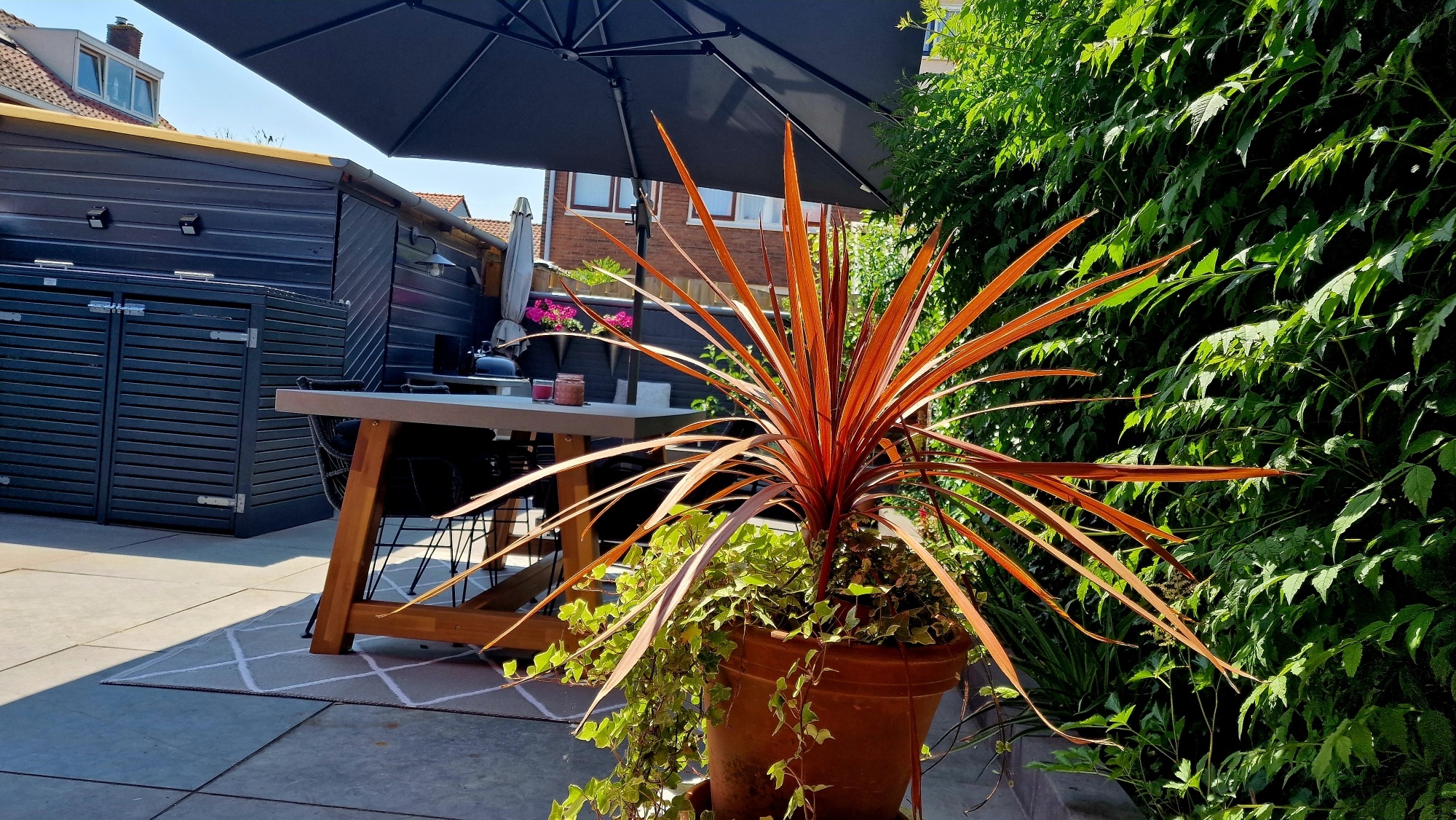 De beste manier om een tuin met een grote oppervlakte gezellig te maken