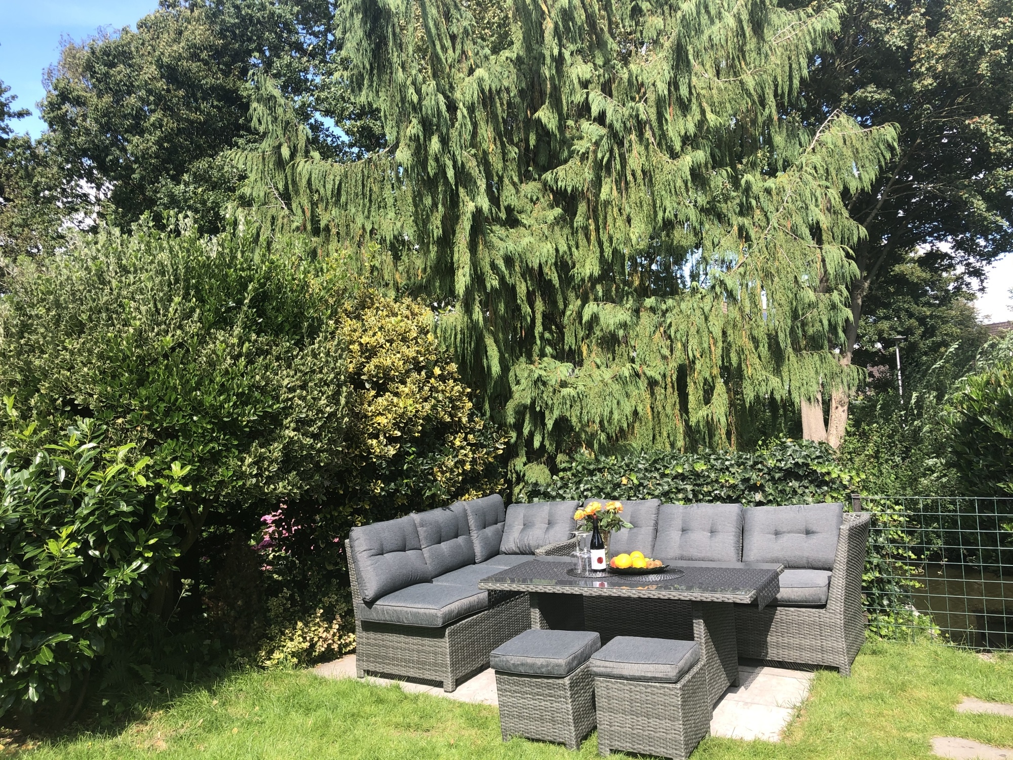 Het feest van fruitbomen in de tuin