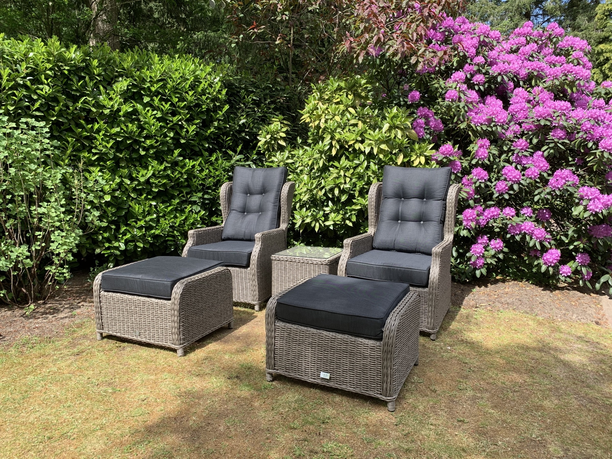 Zomertuin: Tips voor het Beste Onderhoud van Je Tuin Zomertuin: Tips voor het Beste Onderhoud van Je Tuin