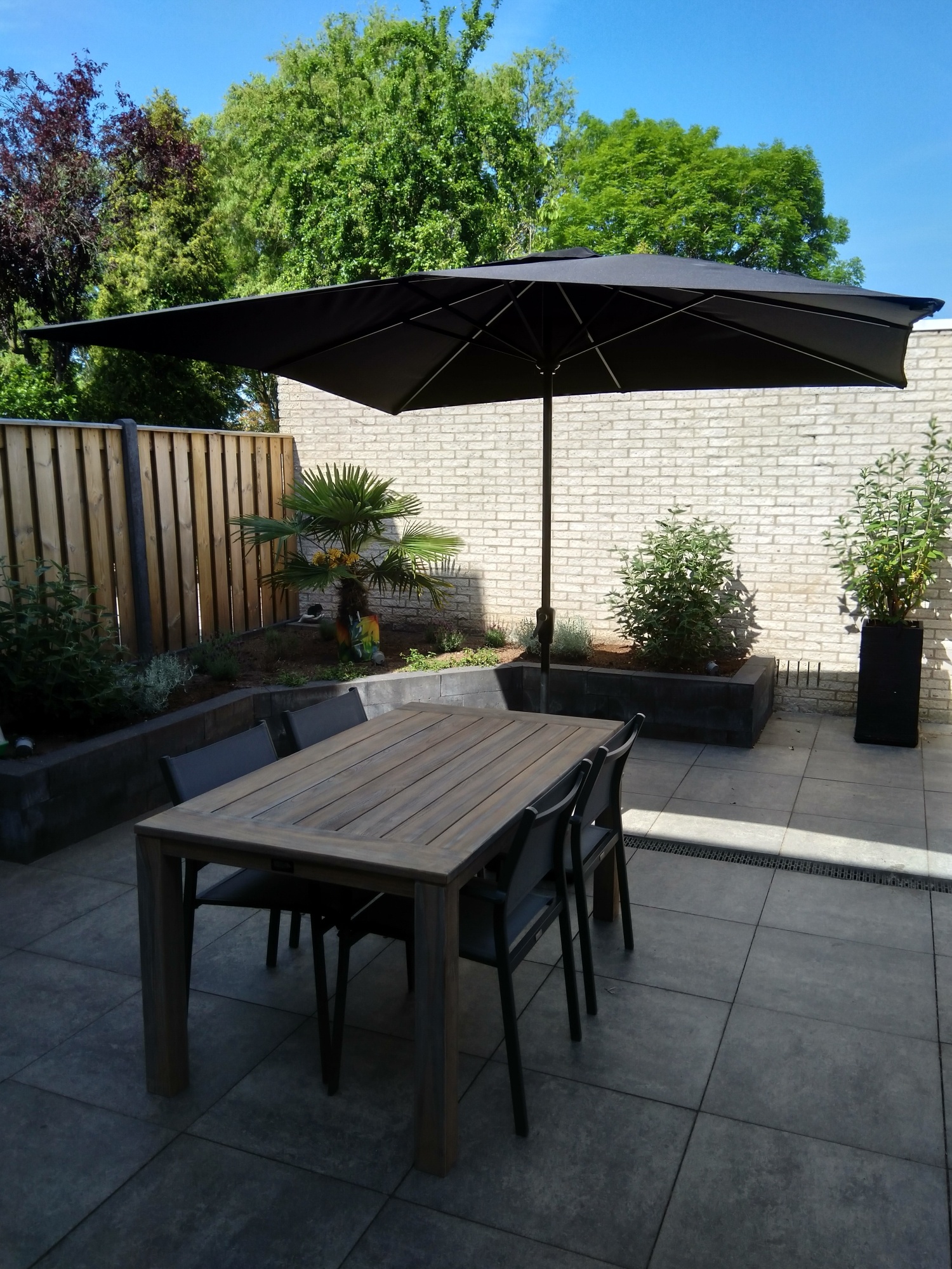 De schoonheid van een minimalistische tuin