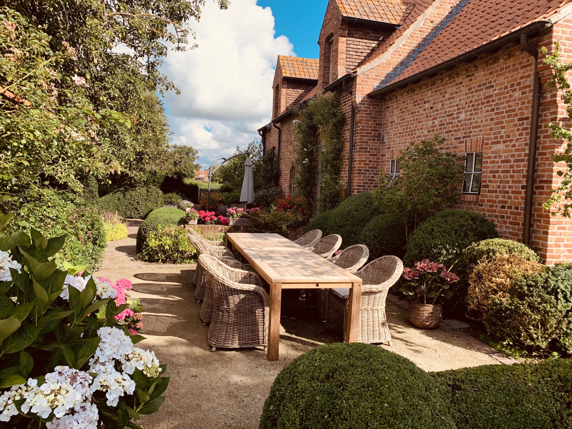 De magie van de eetbare tuin tien planten om zelf te eten