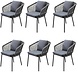 AVH-Collectie Eagle dining tuinstoel grijs wicker set van 6 AVH-Collectie Eagle dining tuinstoel grijs wicker set van 6
